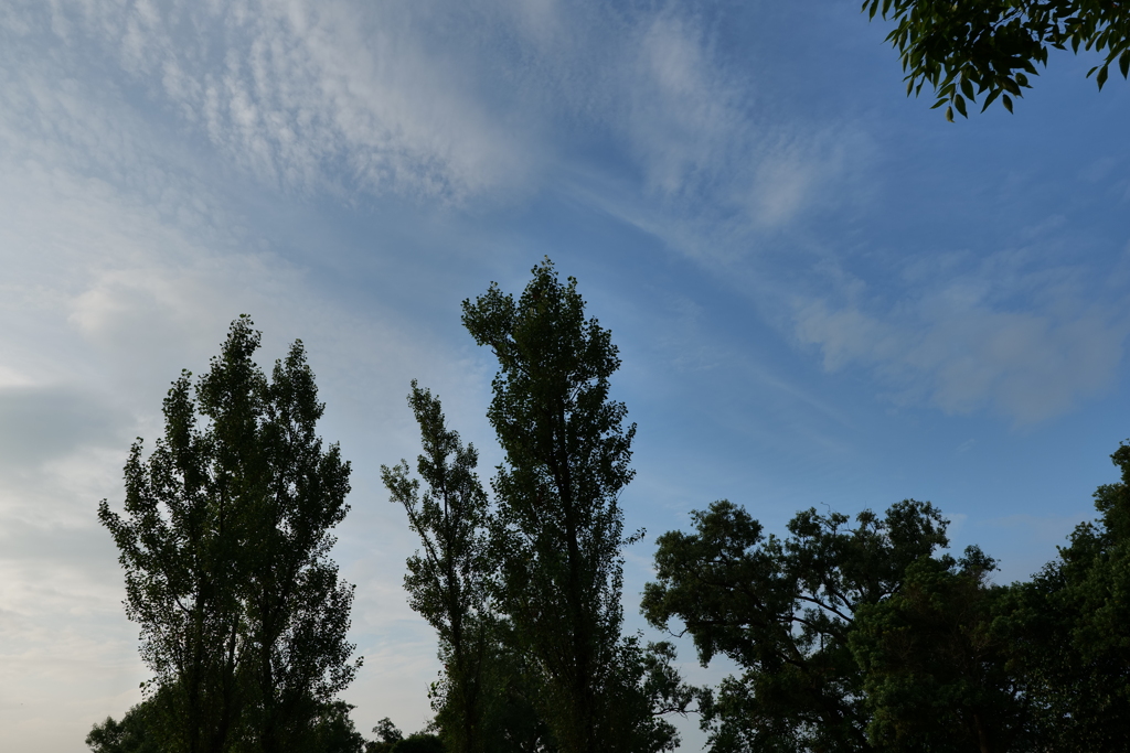 朝の空