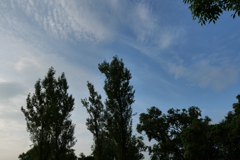 朝の空