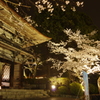 夜桜　園城寺にて