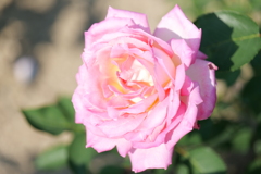 P1000414