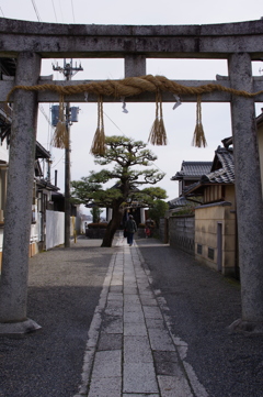 堅田の落雁あたりにて