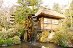 富士屋ホテルの庭にて