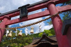 白鬚神社の鳥居