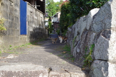 路地の親子