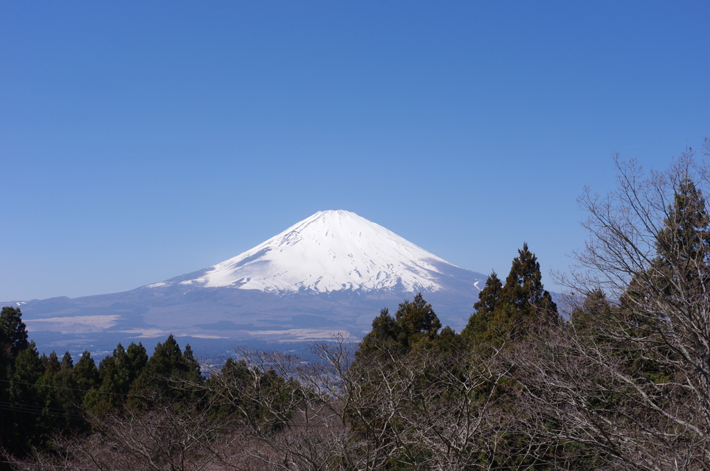 雲ひとつない