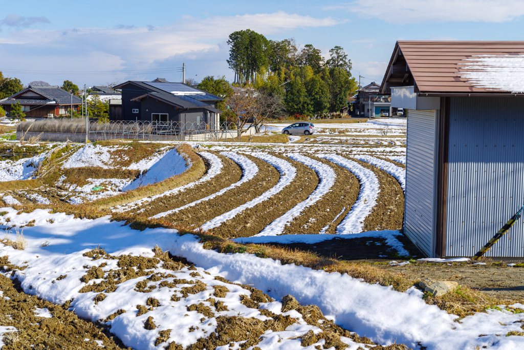 初春の風景