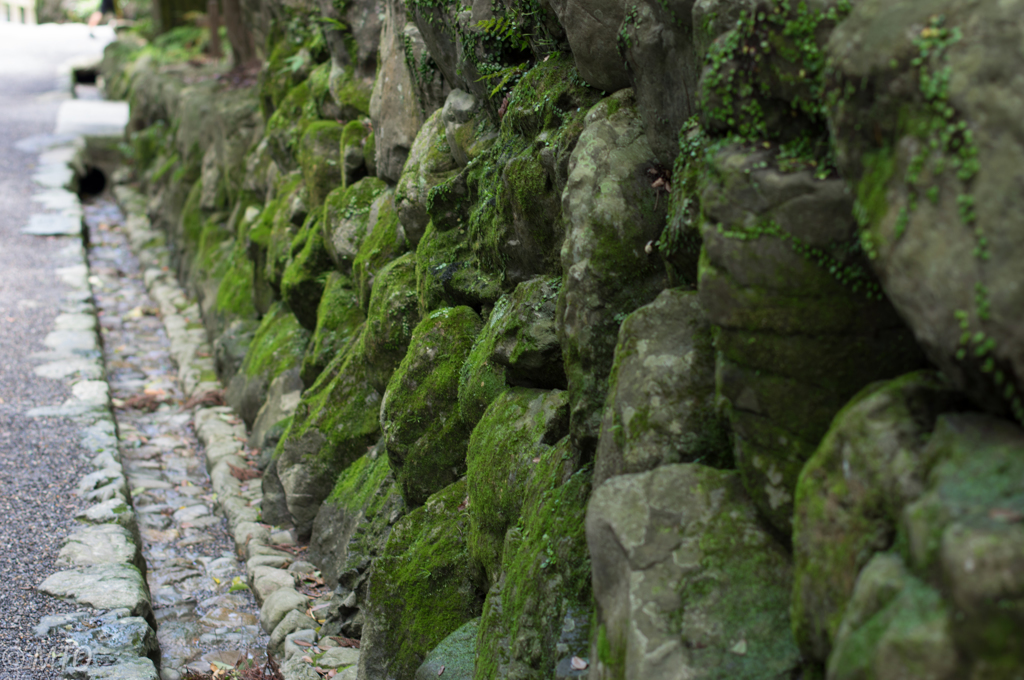 20150718-IMGP7297