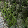 20150718-IMGP7297