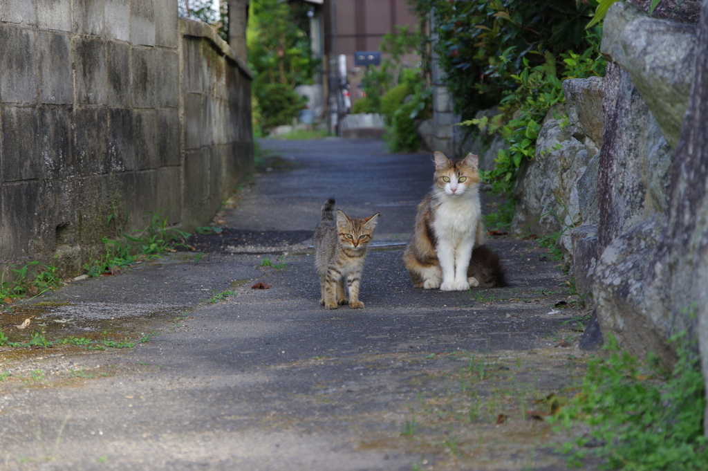 おっちゃん何してんの？