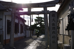 IMGP7284