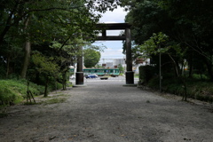 鳥居と電車と