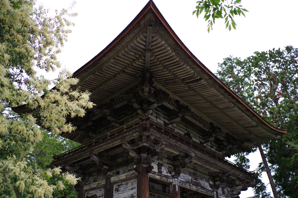 三井寺の山門