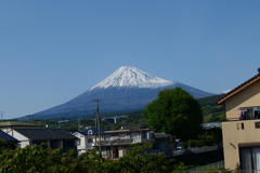 富士山！