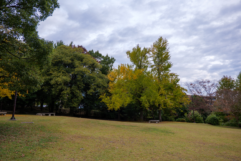 曇天の公園