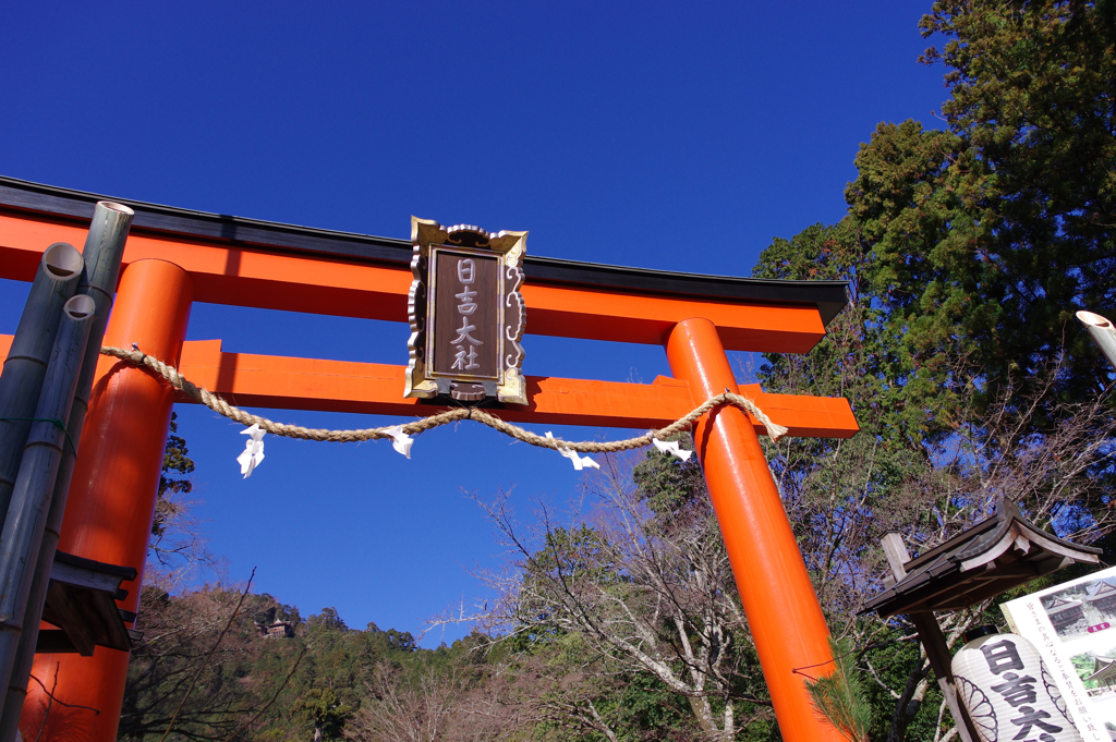 新年、明けましておめでとうございます。