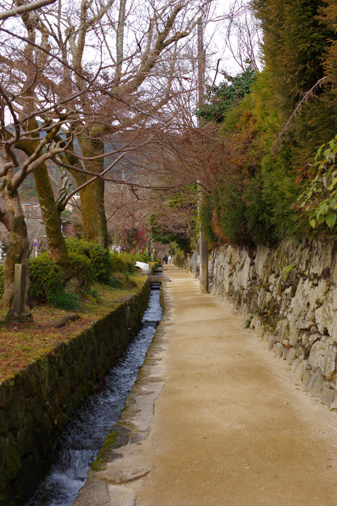 日吉さんの参道