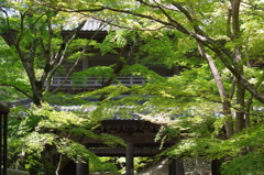 永源寺　山門