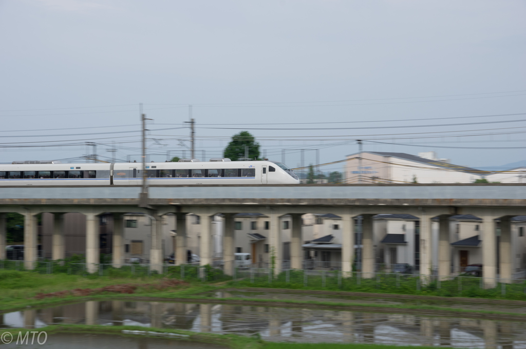 20150705-IMGP6838