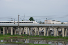 20150705-IMGP6838