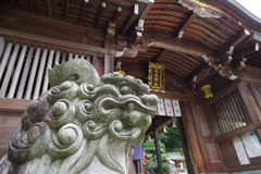 狛犬さんその２