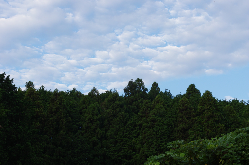 朝の風景〈秋〉