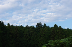 朝の風景〈秋〉
