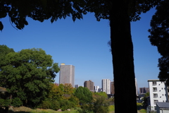 雲一つありません