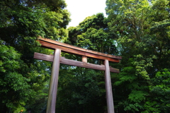 近江神宮の鳥居