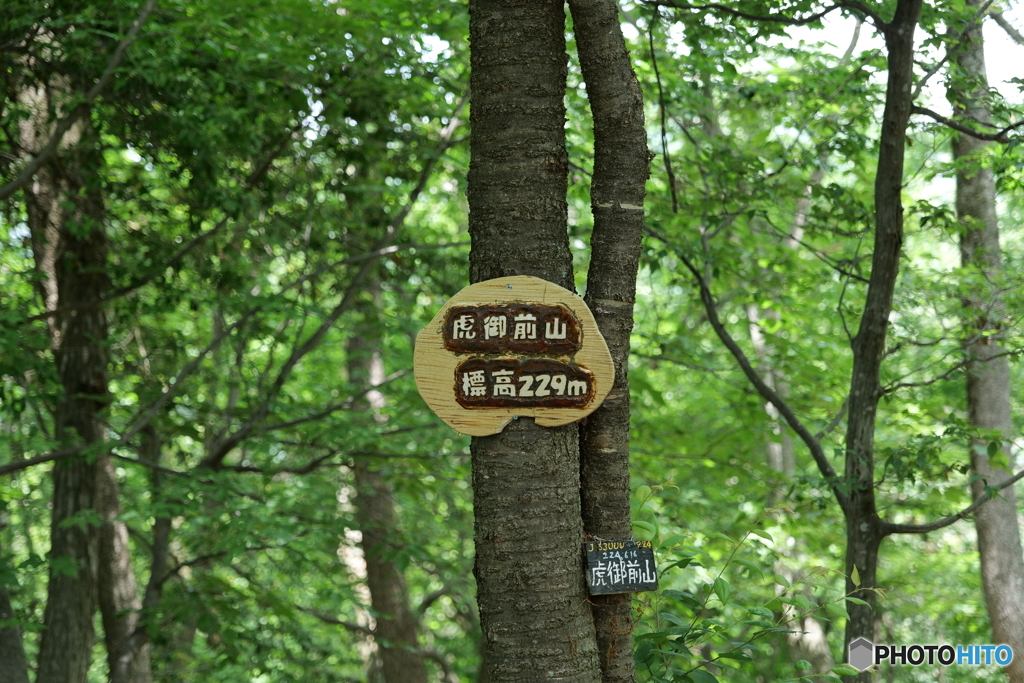 低山登山