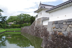 小田原城お堀