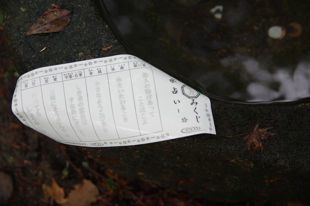 みずおみくじ