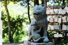 The Guardian Cats