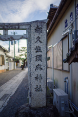 開放での写りの確認