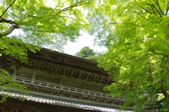 永源寺　山門