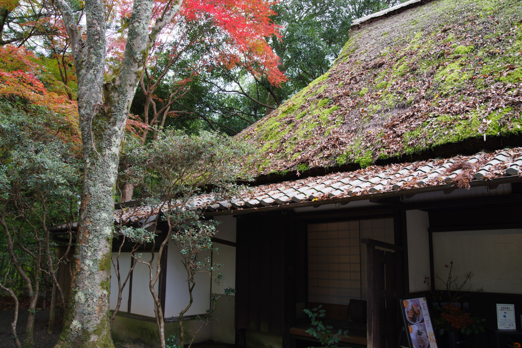 茅葺きがいい雰囲気