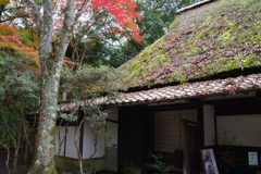茅葺きがいい雰囲気
