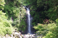 大棚の滝