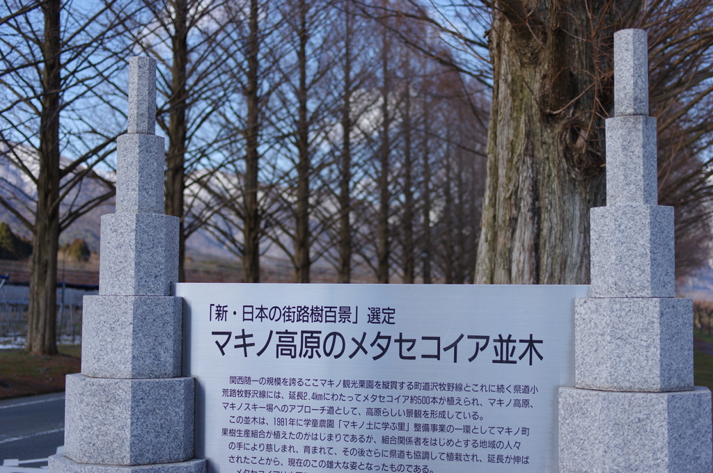 マキノ高原でした