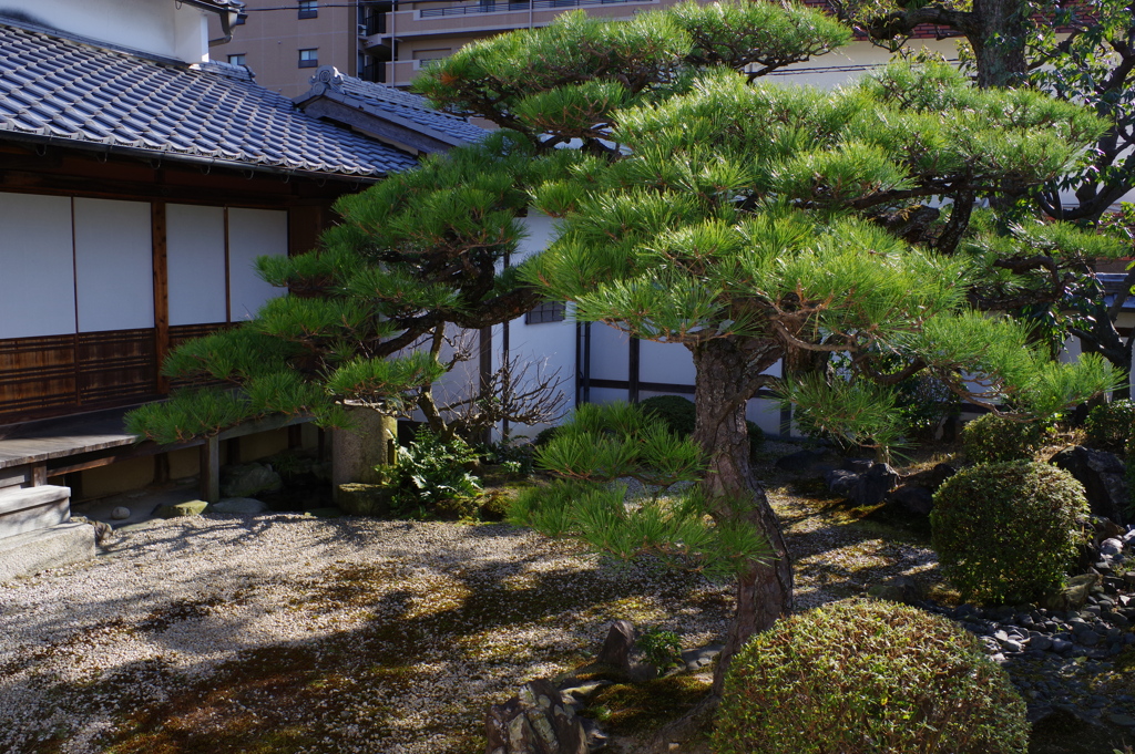 草津宿　本陣