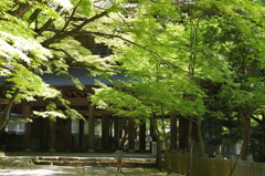 永源寺　山門