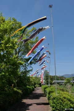いーらーかーのなぁみいとぉ〜