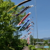 いーらーかーのなぁみいとぉ〜