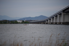 試写1