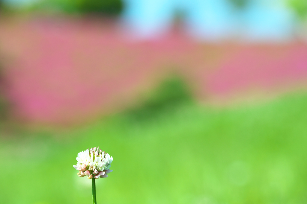 ぽつんと。。。
