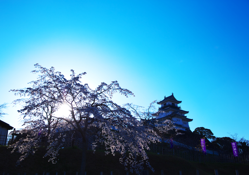 掛川城