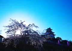 掛川城