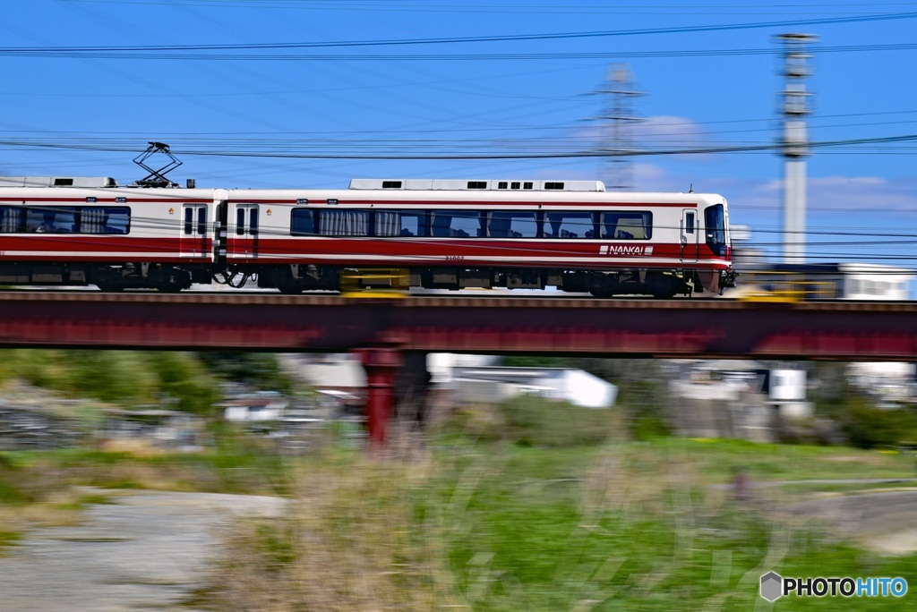 南海高野線　こうや号　31000系