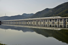 岡山県　大ケ池高架橋