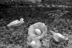 別れを惜しんで