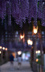 曼陀羅寺の夕